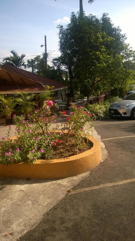 Palm Bay Guest House & Restaurant Montego Bay Exterior foto